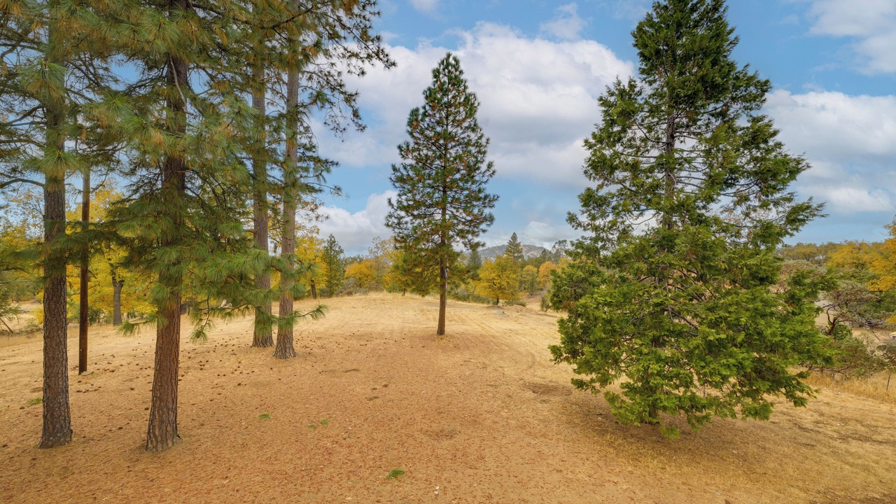 Photo of Others in Coarsegold
