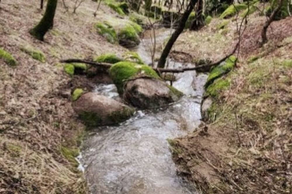 Photo of Others in Oakhurst