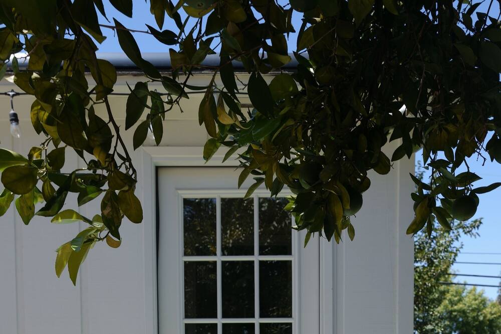 Photo of Outdoor in Oleander - Sunset