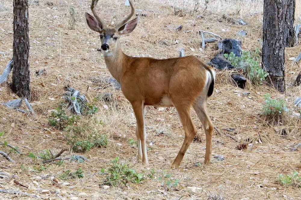 Photo of Others in Groveland