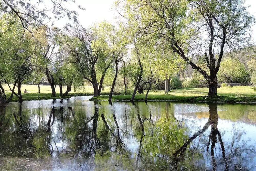 Photo of Others in Groveland