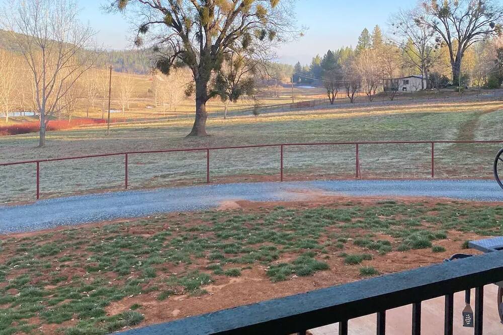 Photo of Outdoor in Groveland