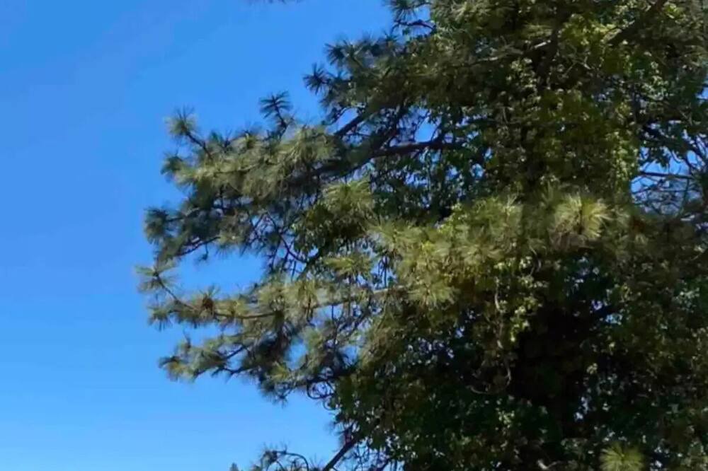 Photo of Outdoor in Groveland