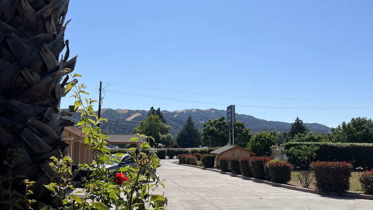 Photo of Outdoor in Gilroy