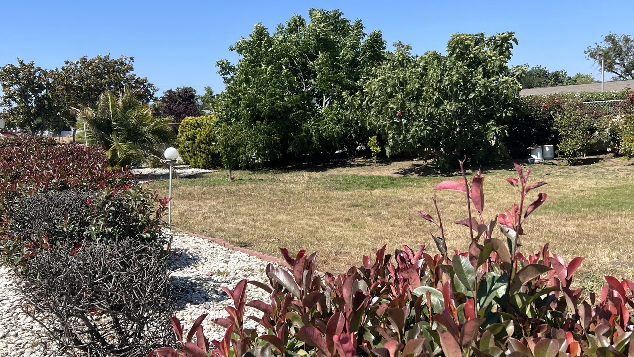 Photo of Outdoor in Gilroy