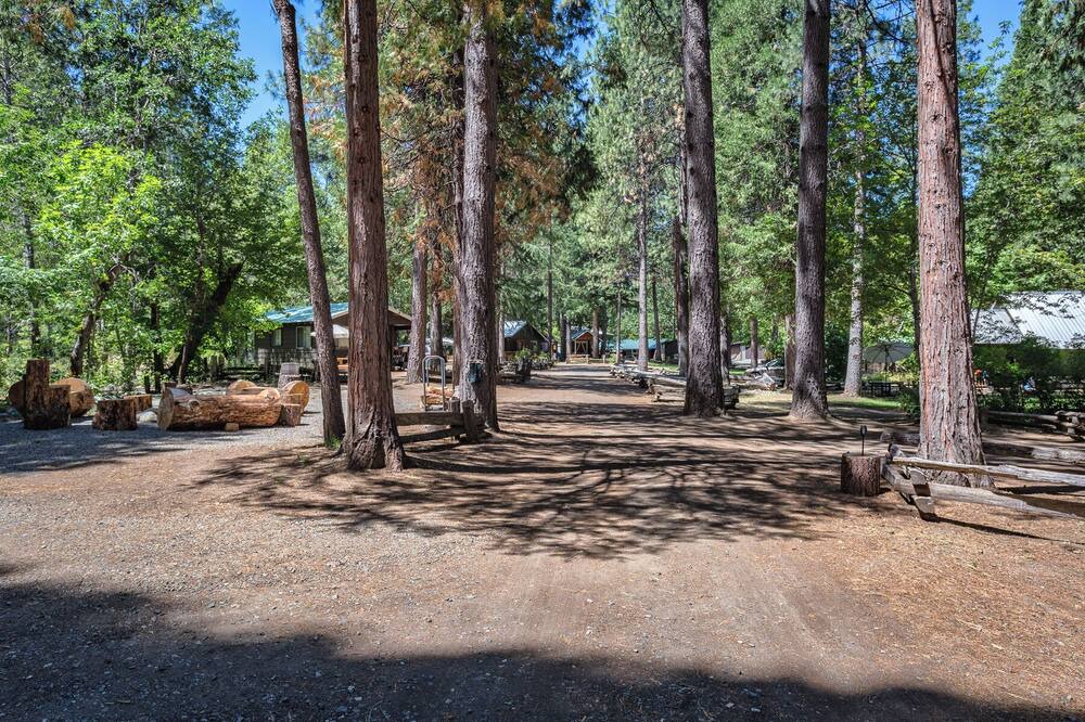 Photo of Outdoor in Coffee Creek
