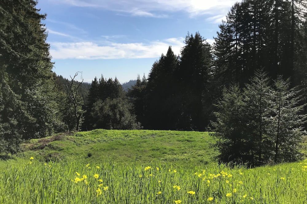 Photo of Outdoor in Los Gatos