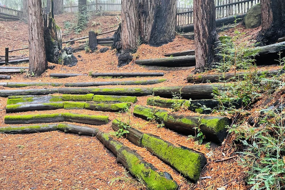 Photo of Outdoor in Los Gatos