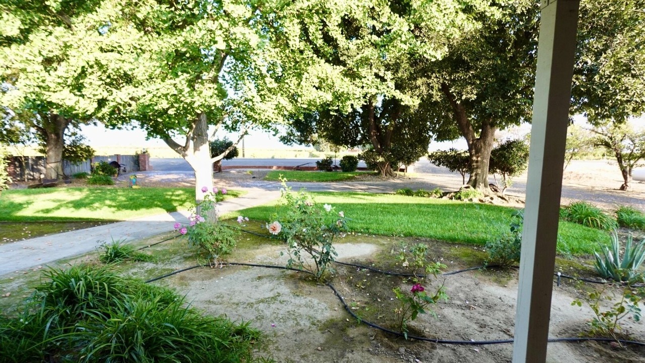Photo of Outdoor in Fowler