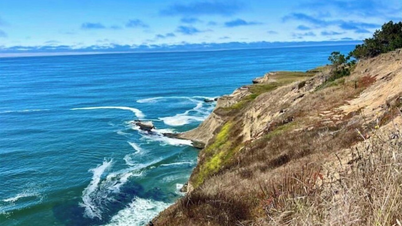 Photo of Others in Half Moon Bay
