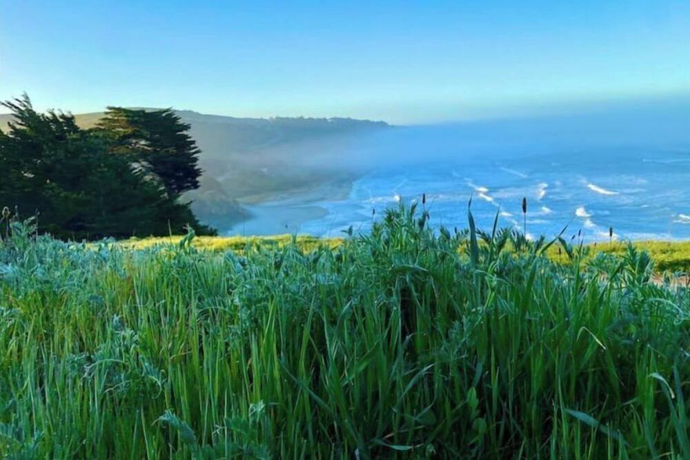 Photo of Others in Half Moon Bay