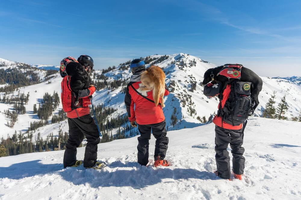 Photo of Others in Sugar Bowl Resort