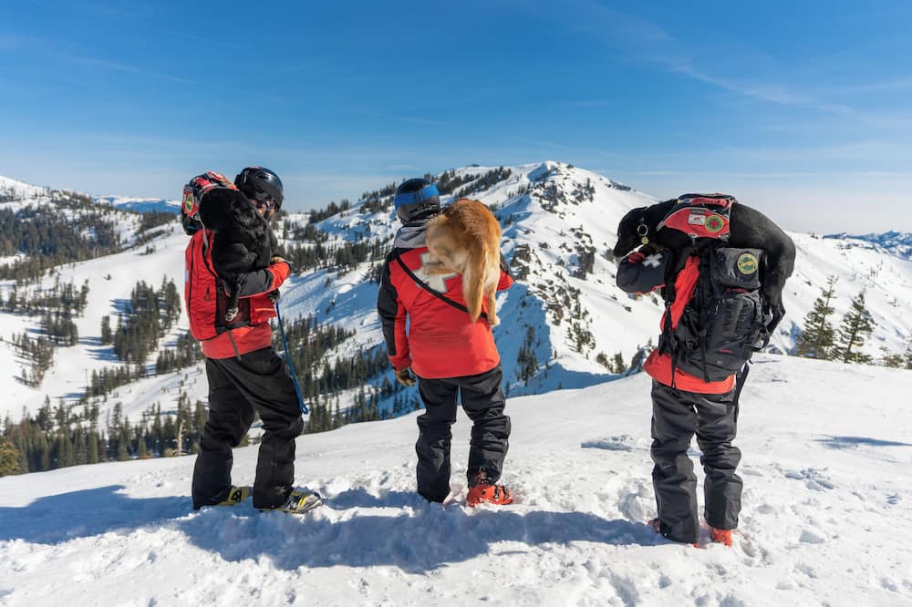 Photo of Others in Sugar Bowl Resort