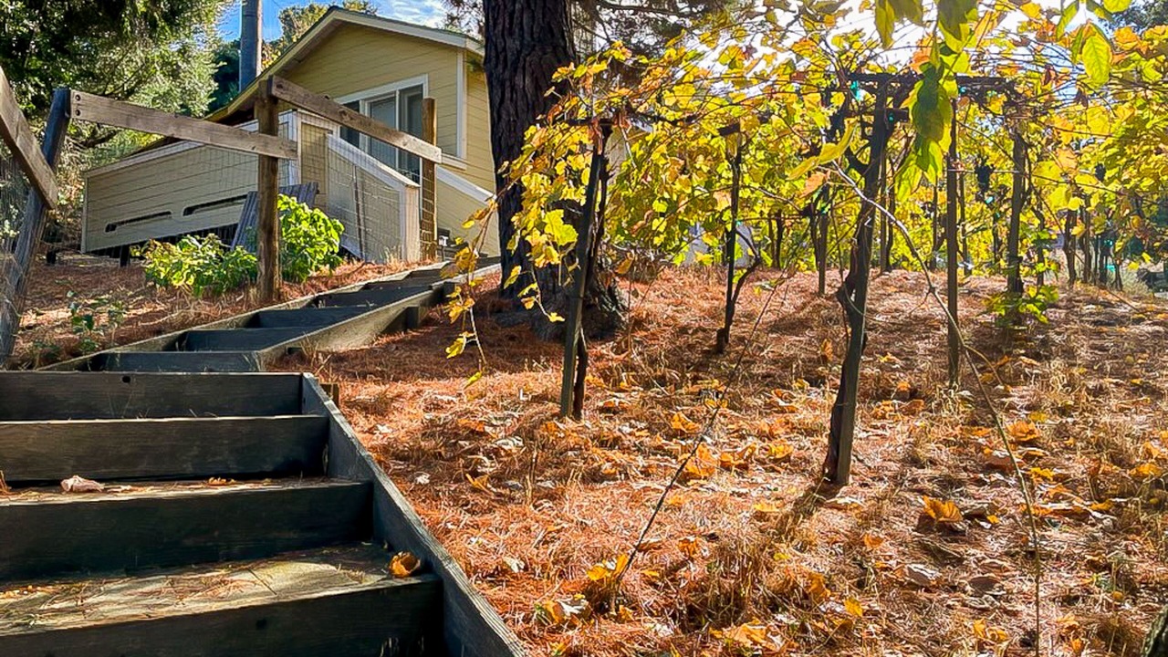 Photo of Outdoor in Paso Robles