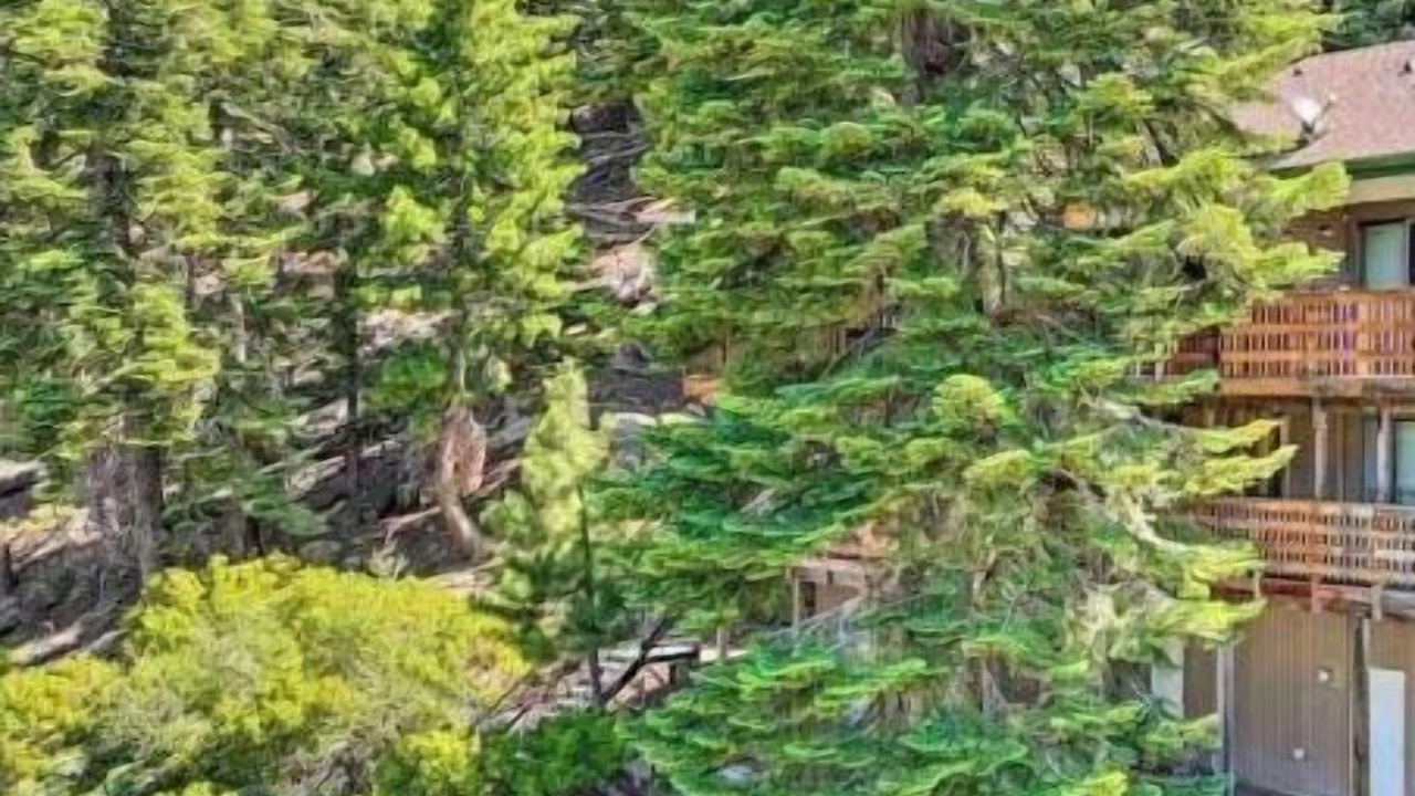 Photo of Outdoor in Pinecrest