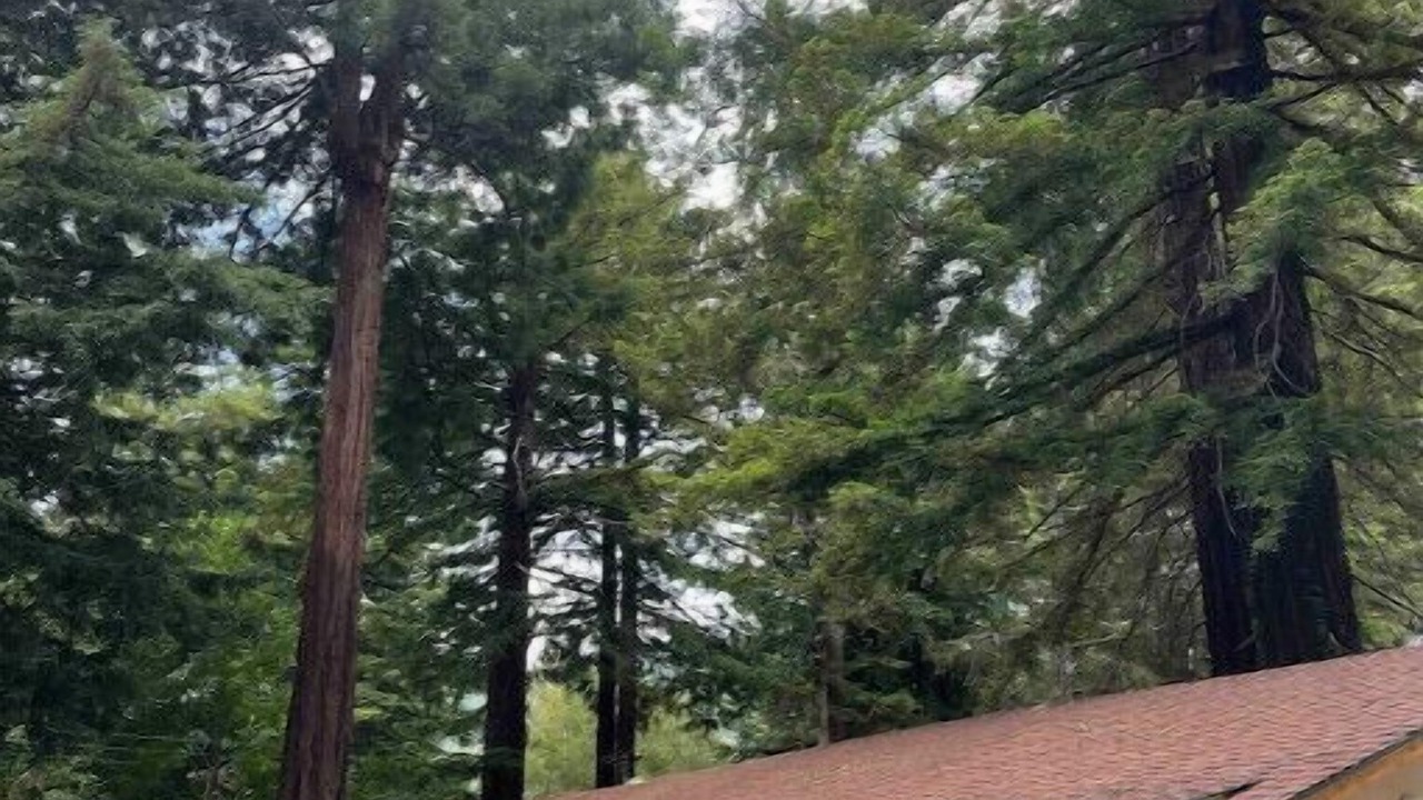 Photo of Outdoor in Myers Flat