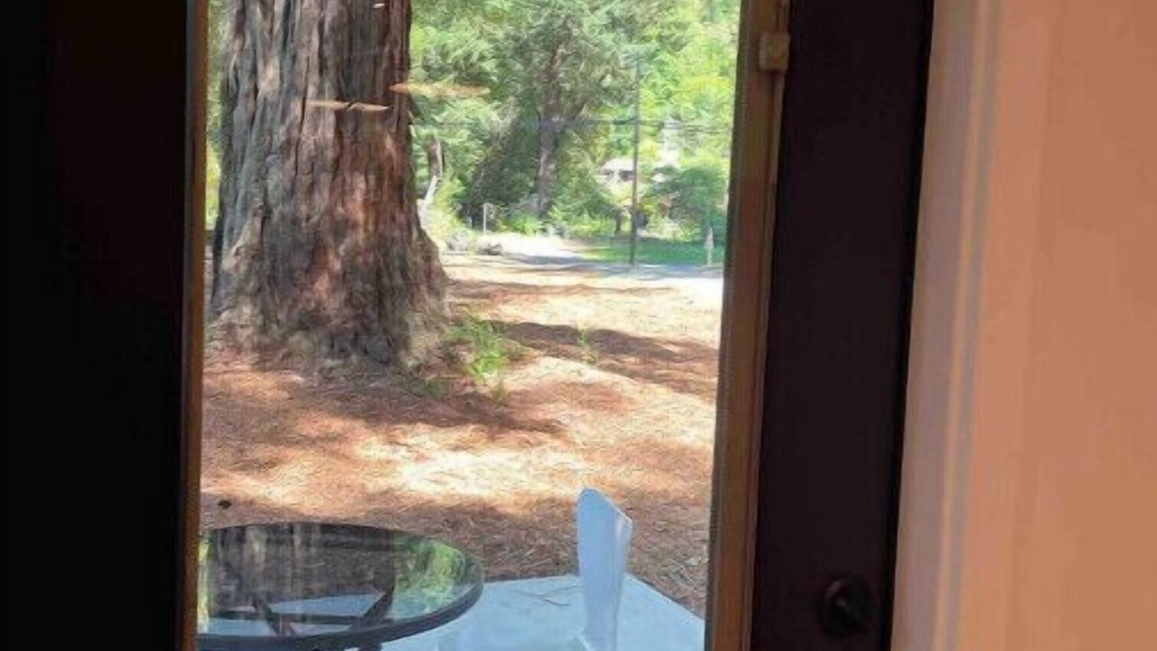 Photo of Others in Myers Flat