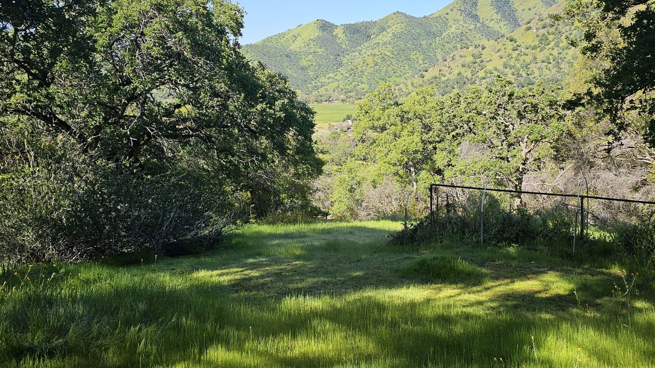 Photo of Outdoor in Three Rivers