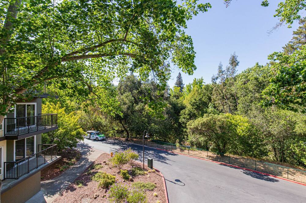 Photo of Outdoor in Palo Alto
