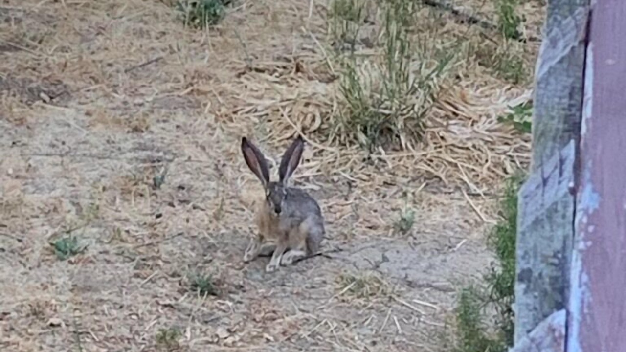 Photo of Outdoor in Lagunitas-Forest Knolls
