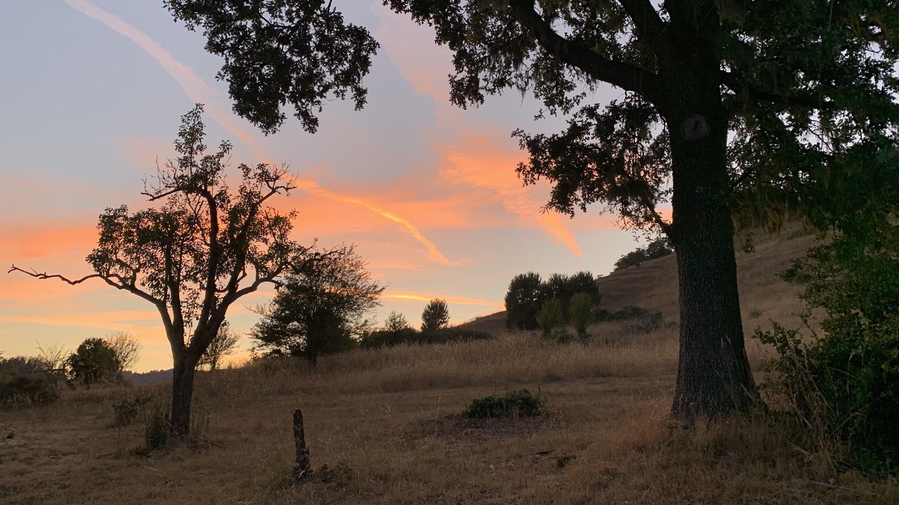 Photo of Outdoor in Lagunitas-Forest Knolls