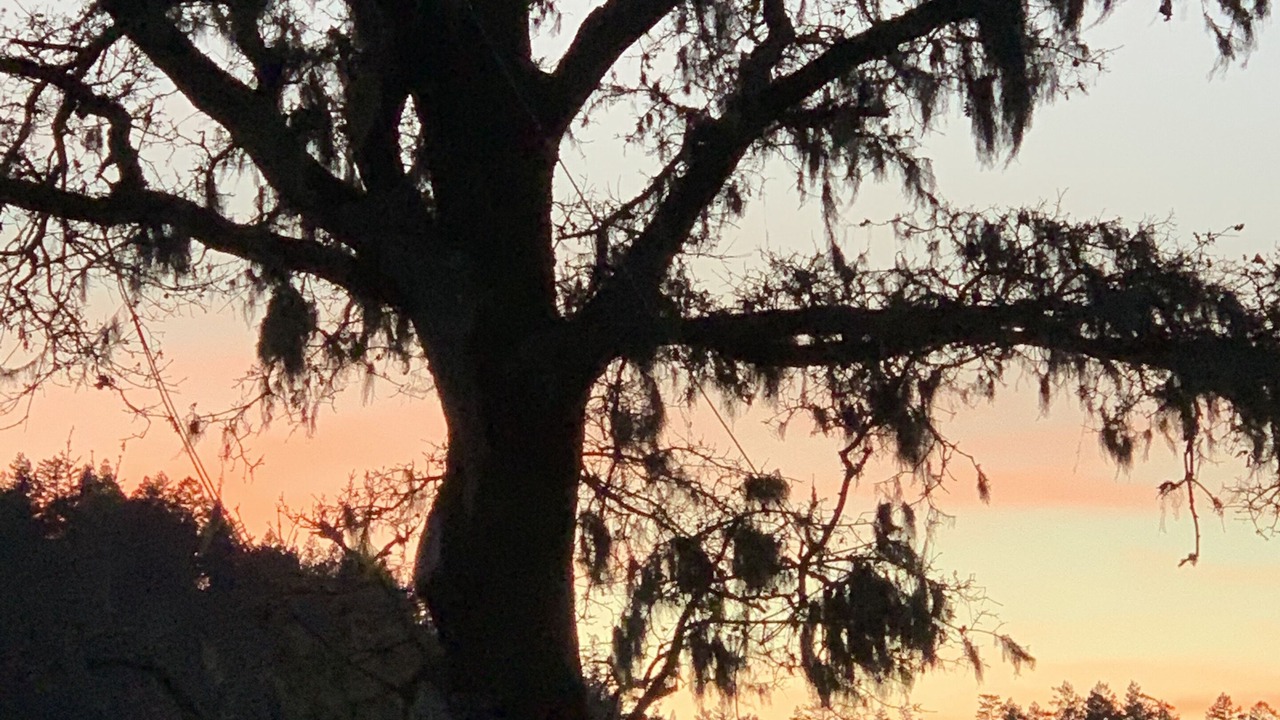 Photo of Outdoor in Lagunitas-Forest Knolls