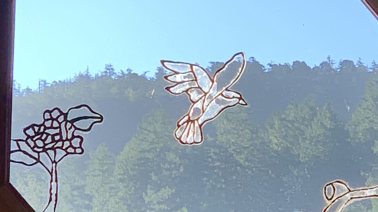 Photo of Others in Lagunitas-Forest Knolls