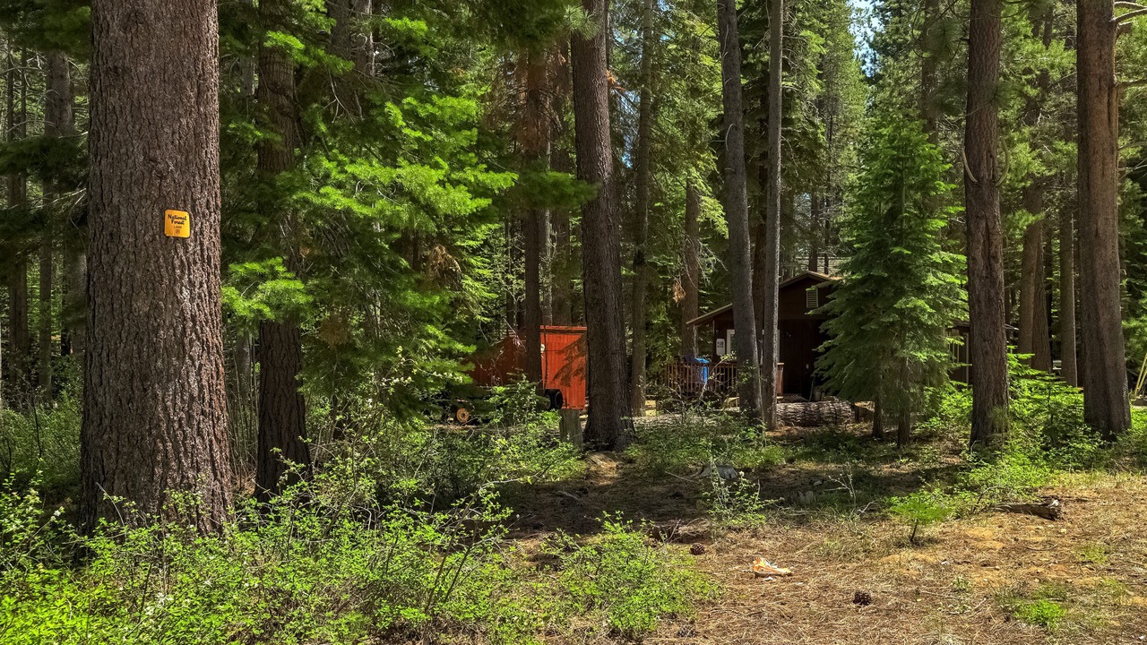 Photo of Outdoor in North Upper Truckee