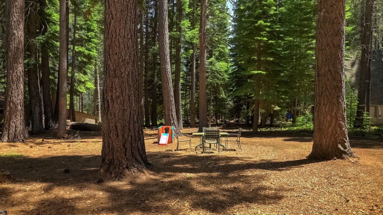 Photo of Outdoor in North Upper Truckee