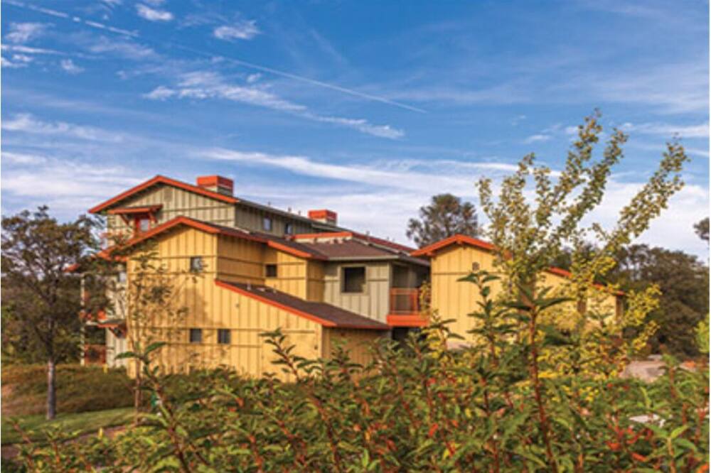 Photo of Outdoor in Angels Camp