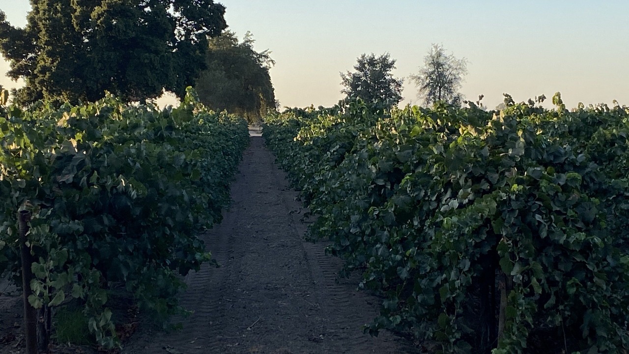 Photo of Outdoor in Peters