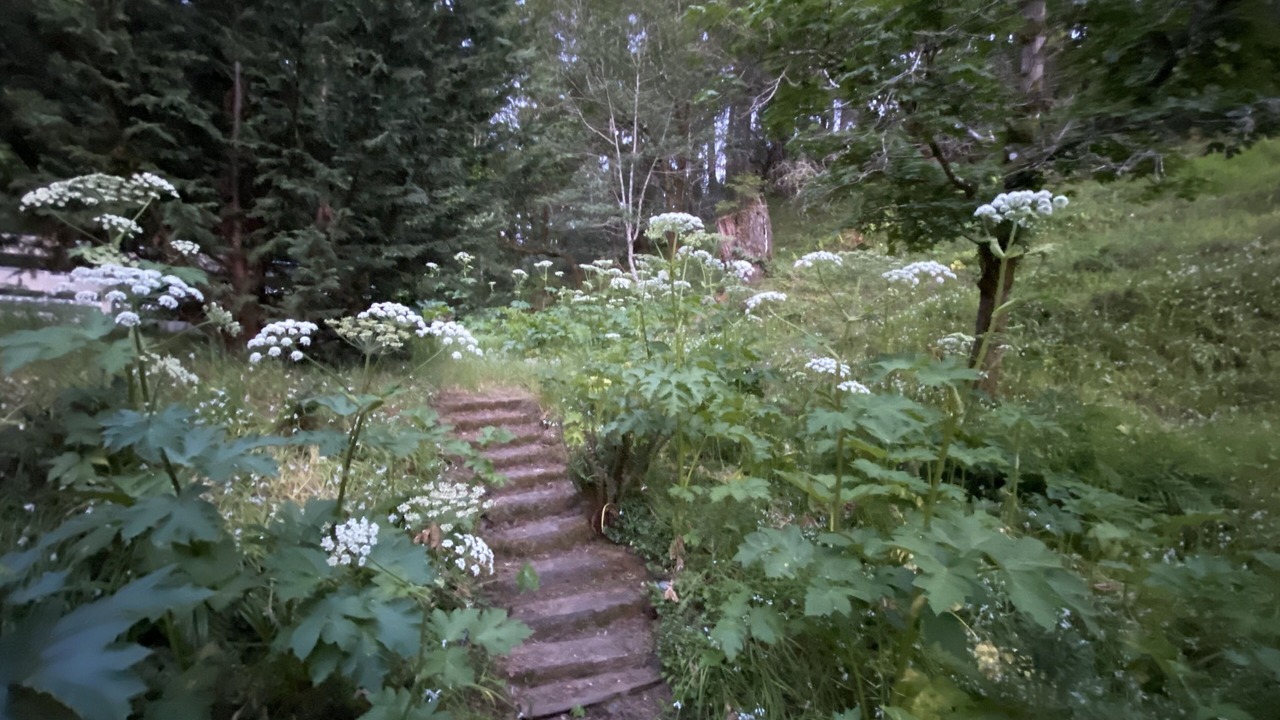Photo of Outdoor in Lagunitas-Forest Knolls