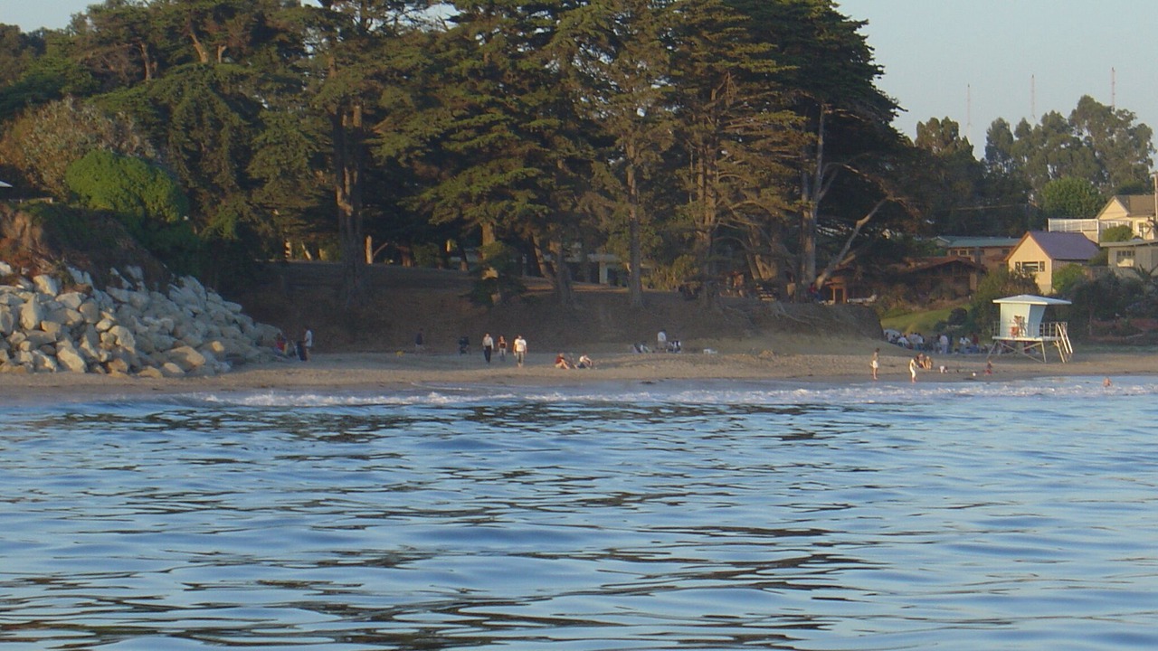 Photo of Others in Bananna Belt