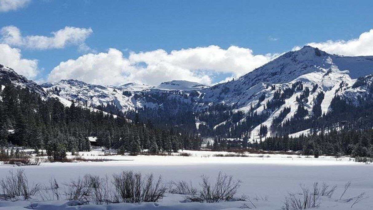Photo of Others in Kirkwood