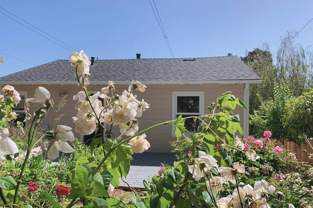 Photo of Outdoor in San Bruno