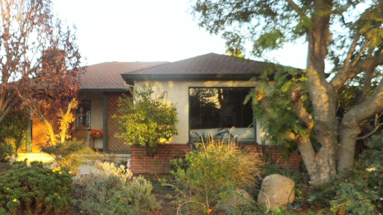 Photo of Outdoor in San Jose