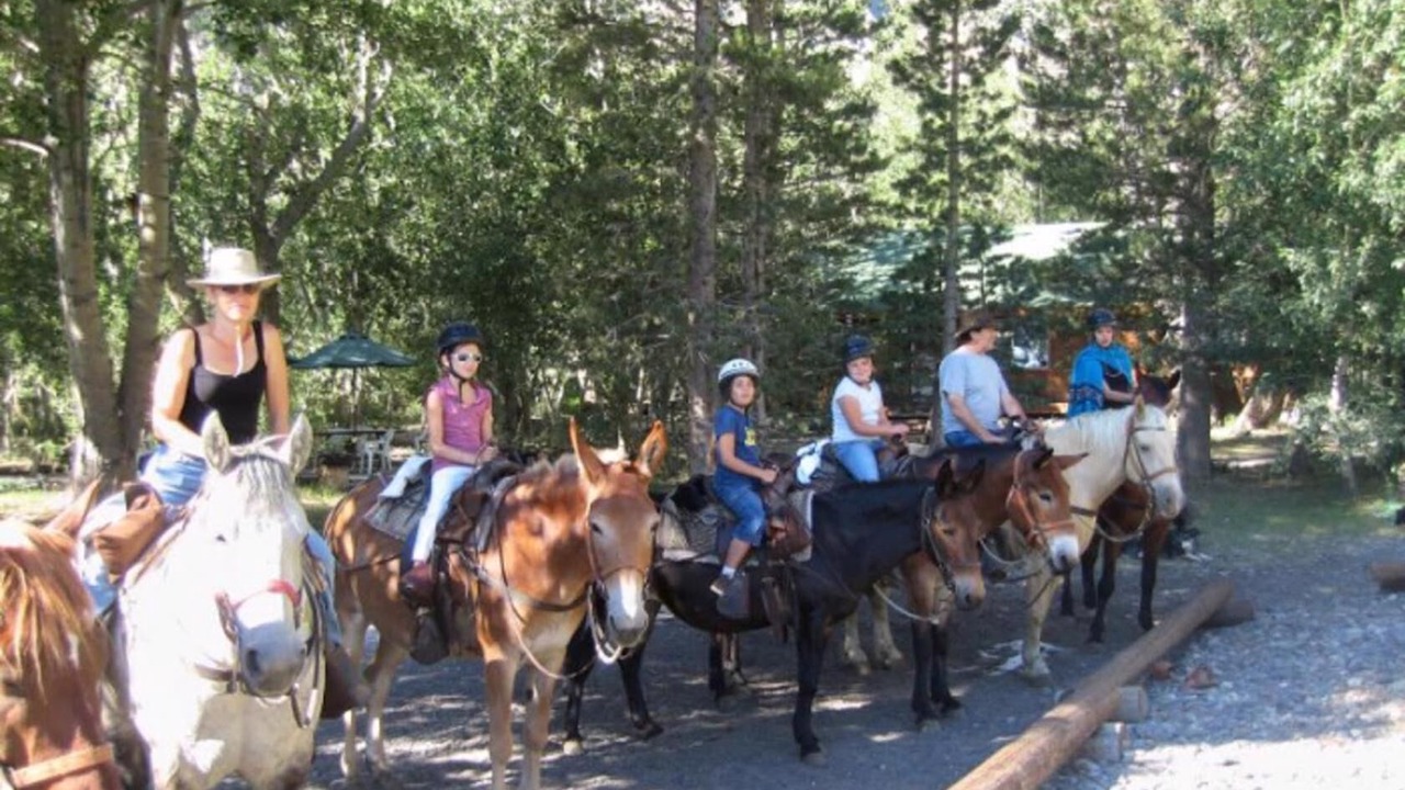 Photo of Others in Mammoth Lakes