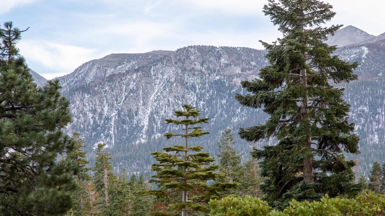 Photo of Outdoor in Mammoth Lakes