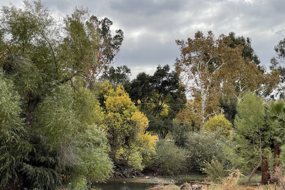 Photo of Outdoor in Bakersfield