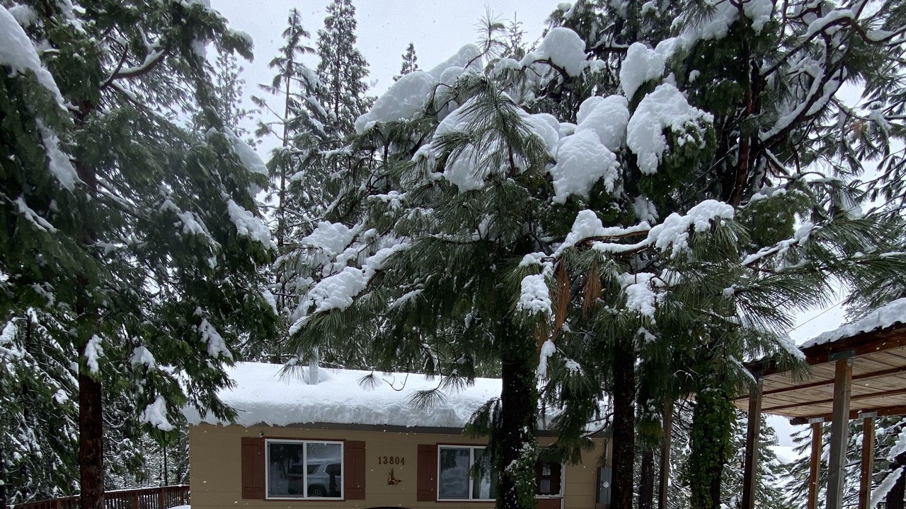 Photo of Outdoor in Kyburz