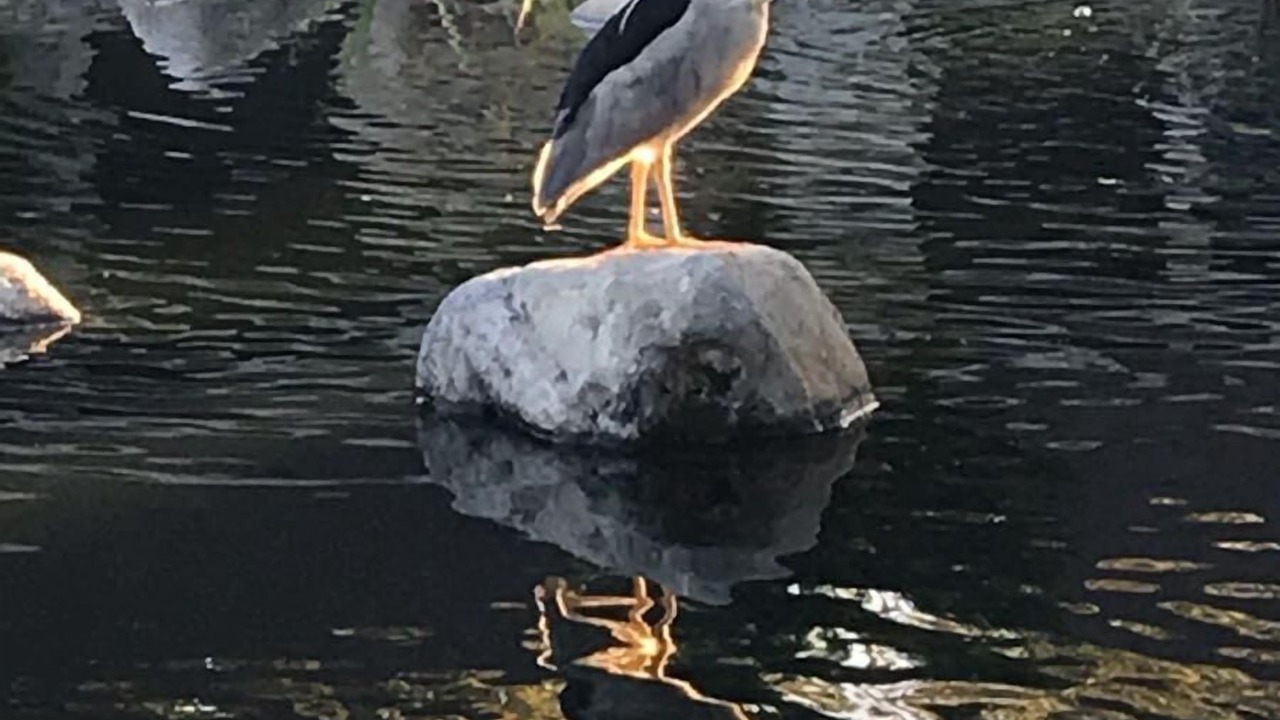 Photo of Outdoor in San Juan Capistrano