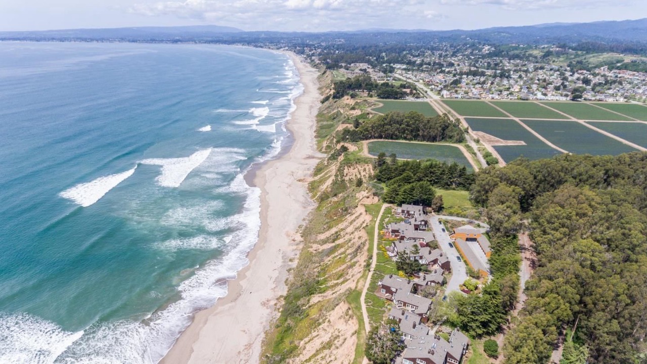 Photo of Others in Westside Santa Cruz
