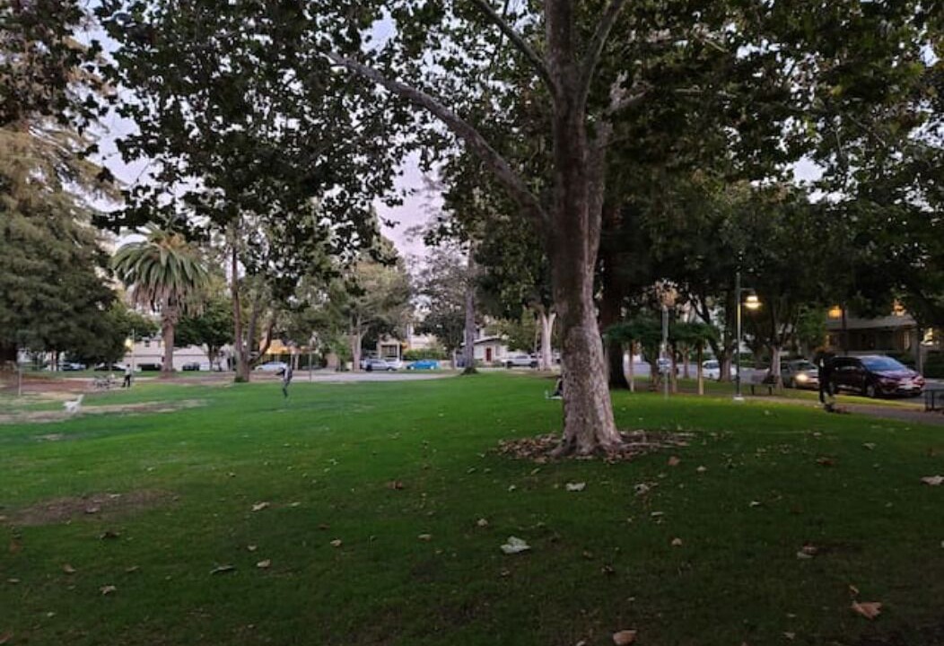 Photo of Outdoor in Downtown North