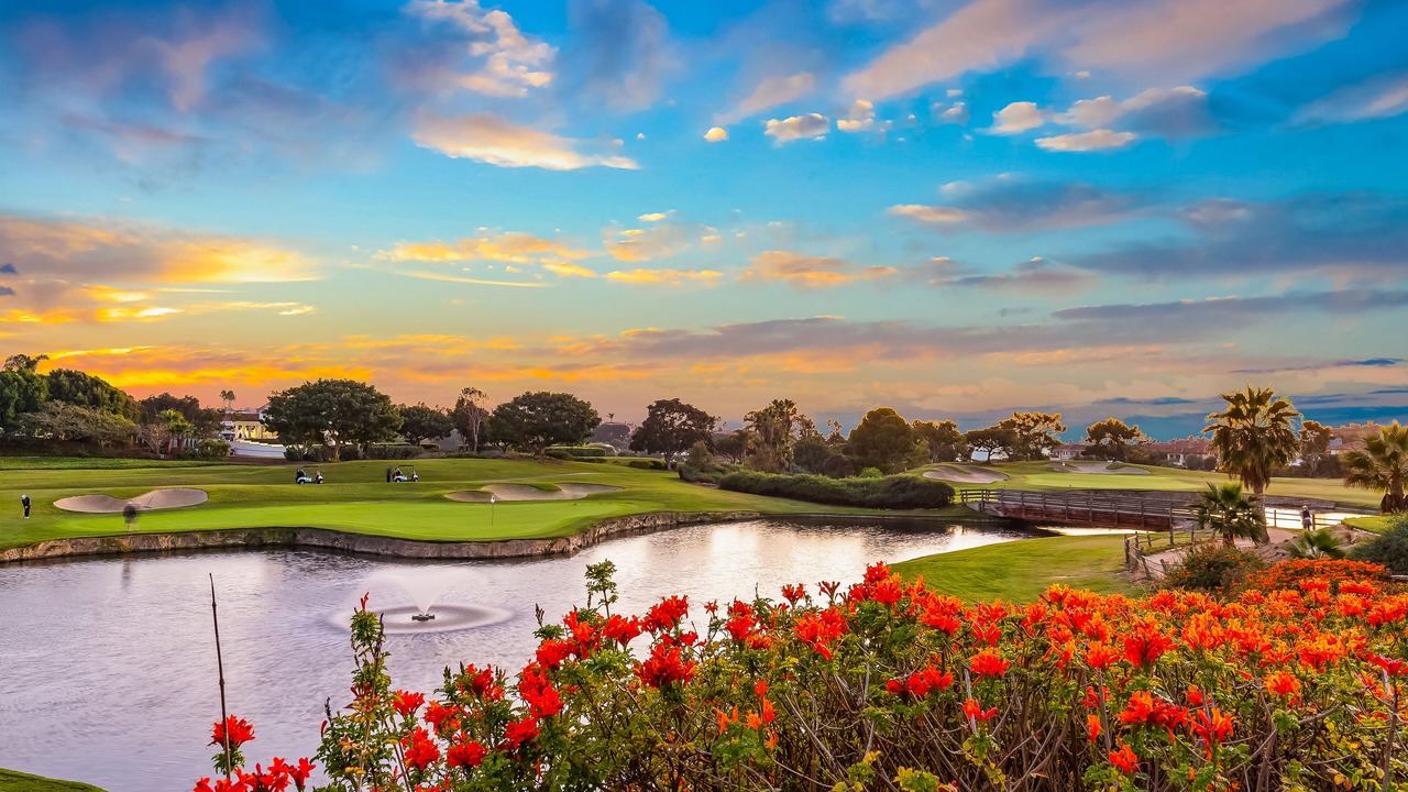 Photo of Others in Monarch Beach