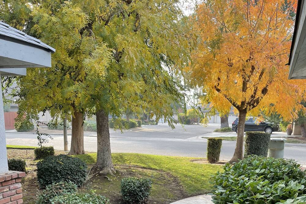 Photo of Outdoor in Fresno