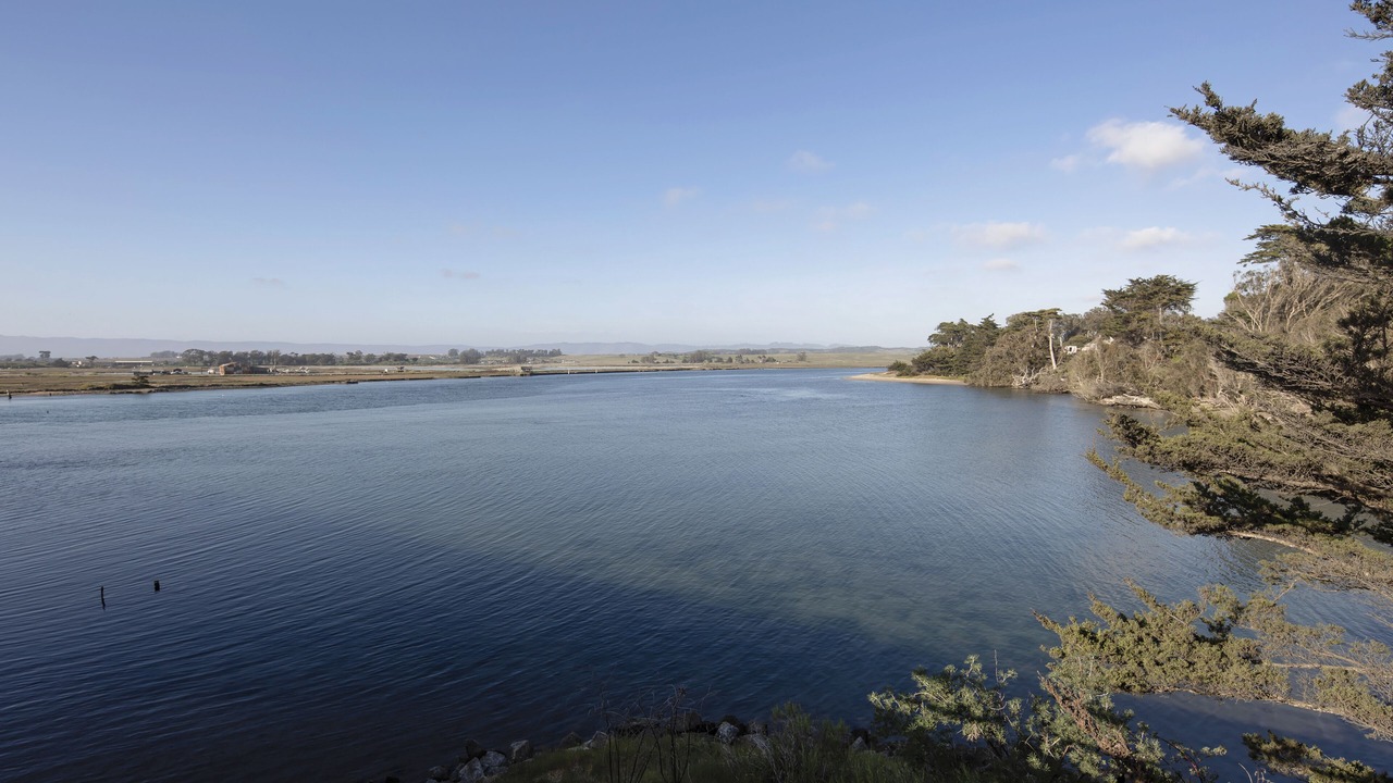 Photo of Others in Moss Landing
