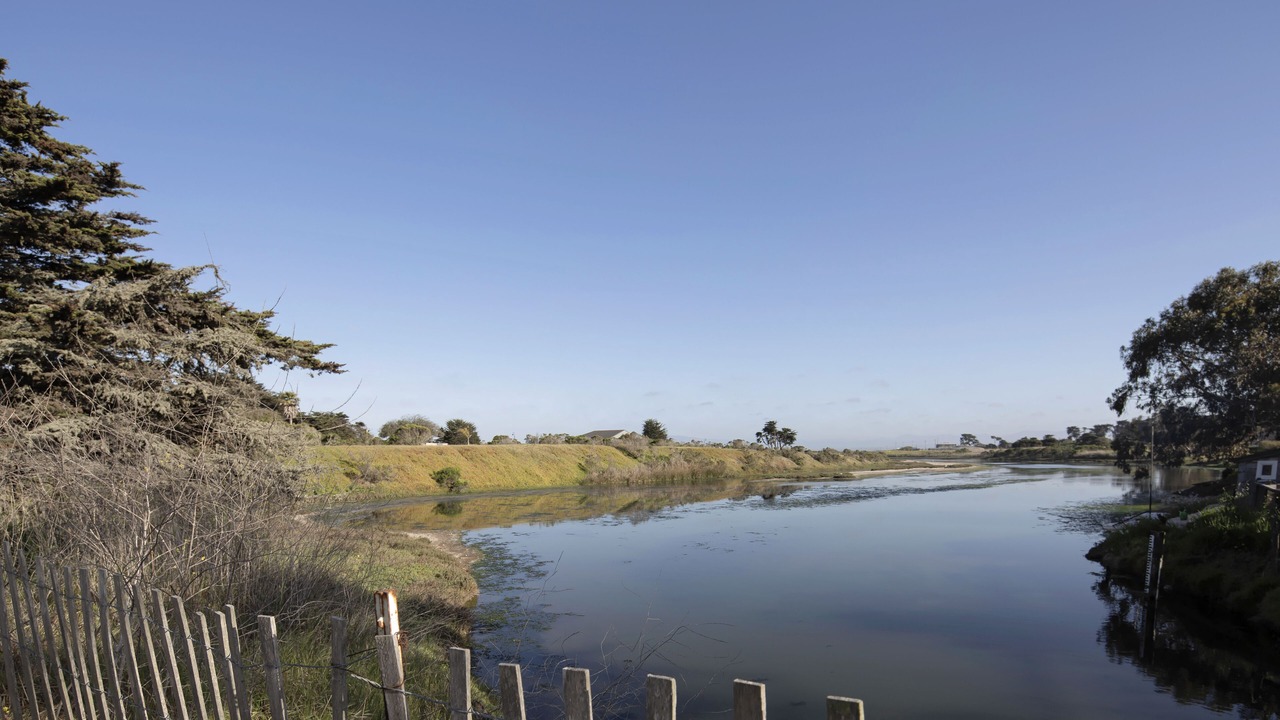 Photo of Others in Moss Landing