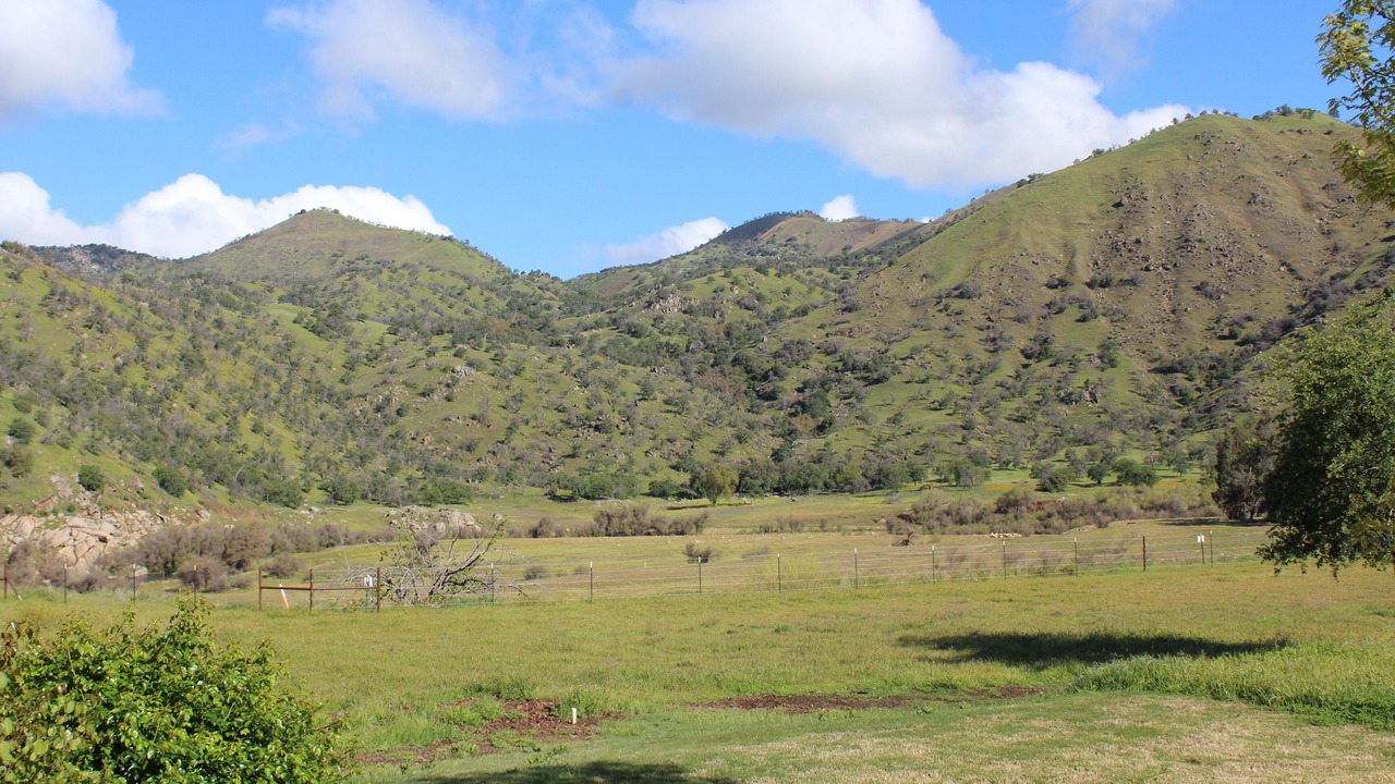 Photo of Outdoor in Three Rivers