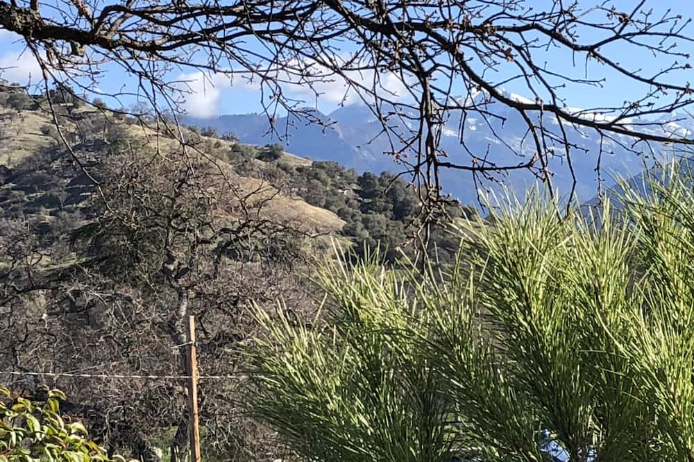 Photo of Outdoor in Three Rivers