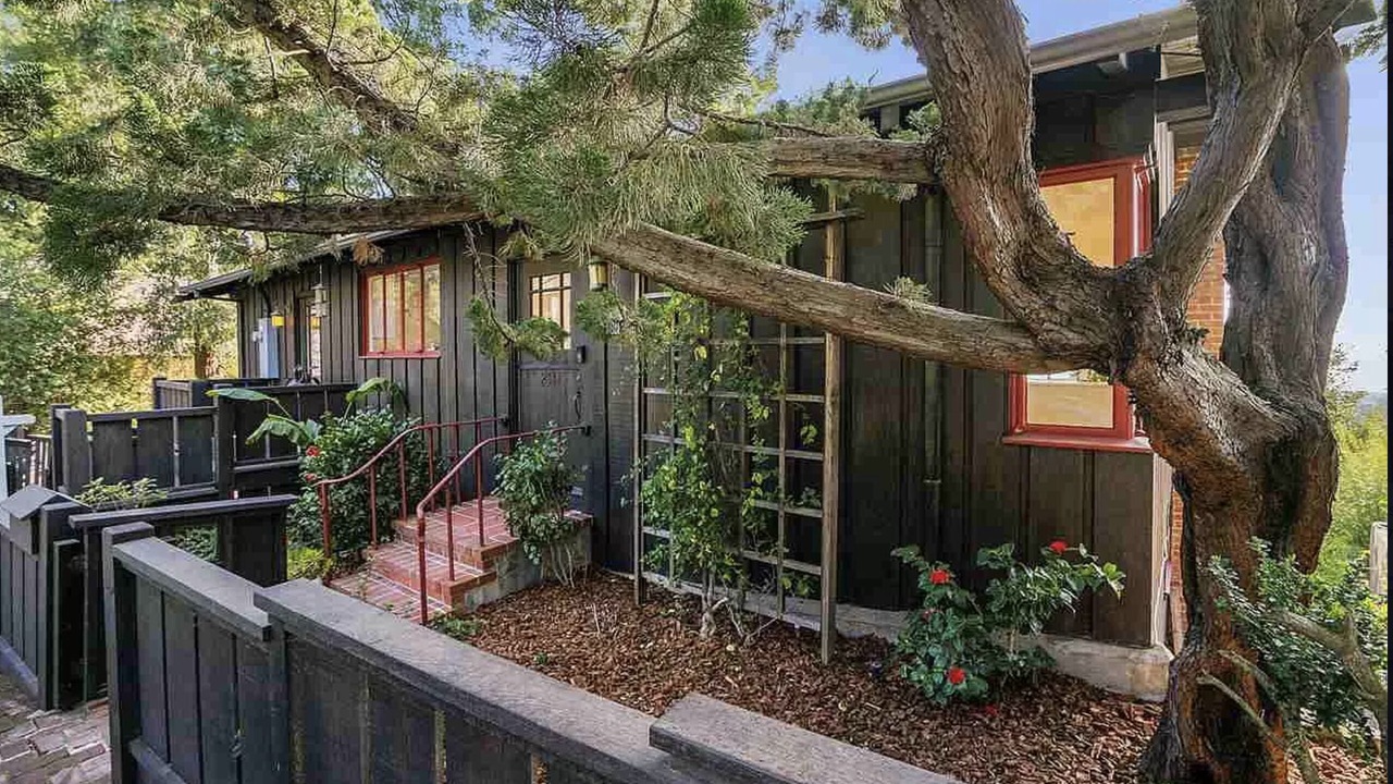 Photo of Outdoor in Berkeley Hills